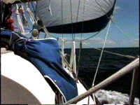 True Love off Cape Ann