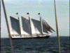Victory Chimes on Penobscot Bay